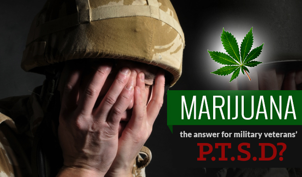 Military veteran suffering from PTSD