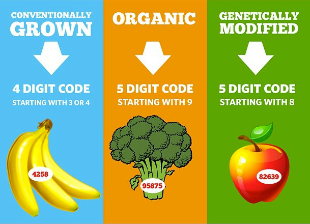 plu code infographic - learn about the fruits you're eating