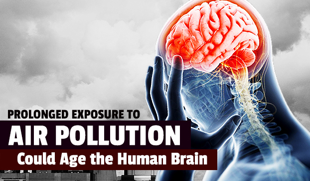 A study shows toxins in air can damage the brain
