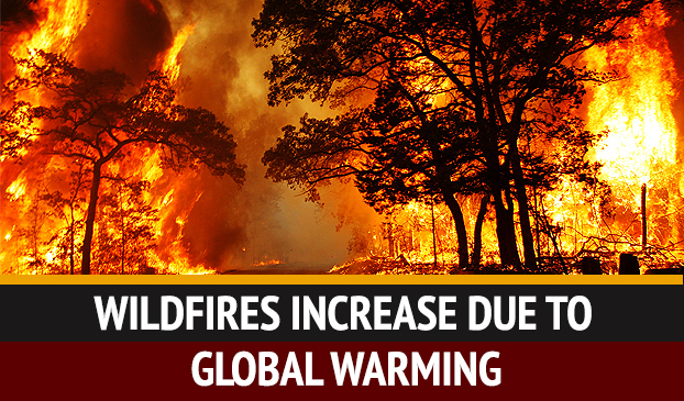 Climate Change Linked To Increase In Wildfire Frequency And Intensity